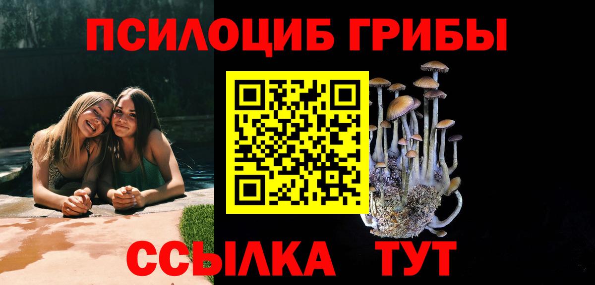 Псилоцибиновые грибы Cubensis Советск
