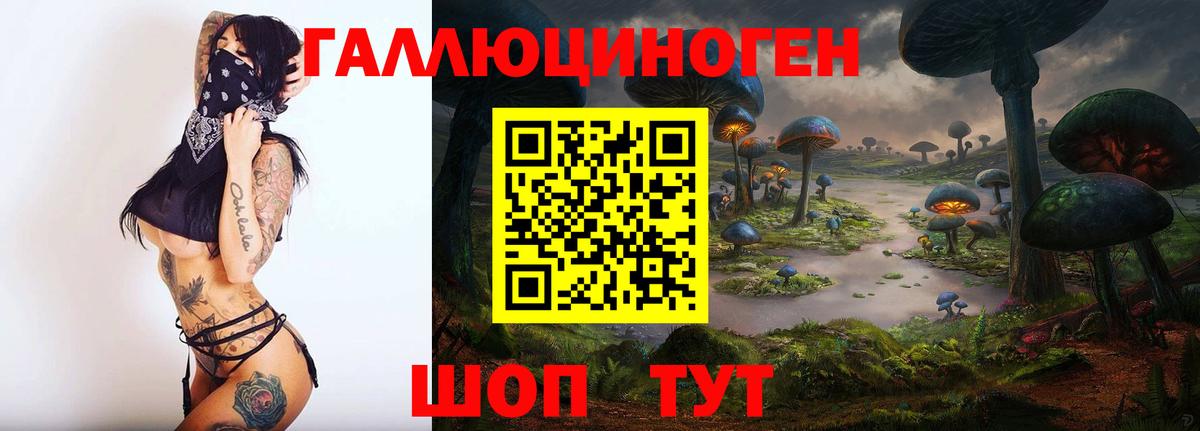 Псилоцибиновые грибы Cubensis  Вход с VPN  Галлюциногенные грибы GOLDEN TEACHER  Советск 